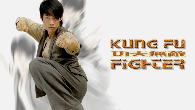 kung fu fighter (2007)