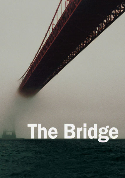 the bridge netflix france