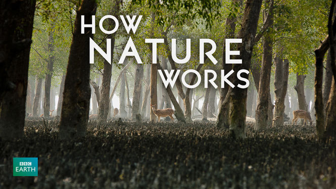 tildeling Genoptag Victor Is 'How Nature Works' on Netflix UK? Where to Watch the Documentary - New  On Netflix UK