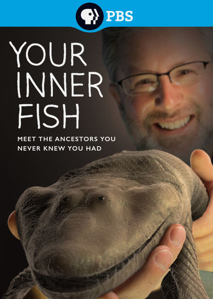 inner fish