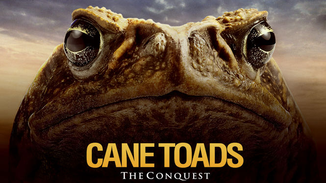 Is Cane Toads The Conquest Available To Watch On Netflix In America