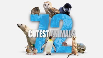 72 Cutest Animals